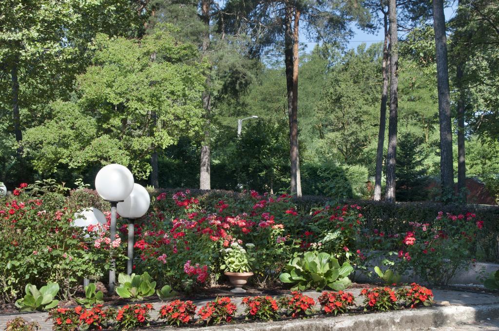 체사테 Bed&Garden B&B 외부 사진